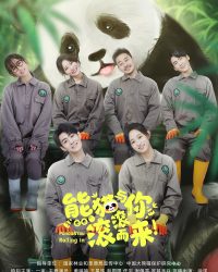 Gấu Trúc Và Bạn, Lăn Đến Đây!